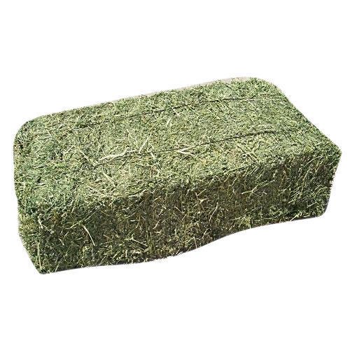 Alfalfa Hay