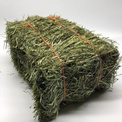 Forage Hay